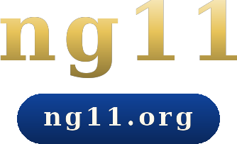 ng11 logo